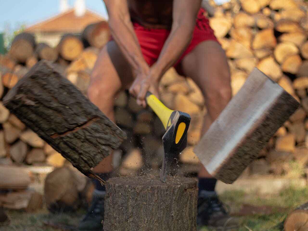 Best Tree Cutting Near Me  in Northwest Harborcreek, PA